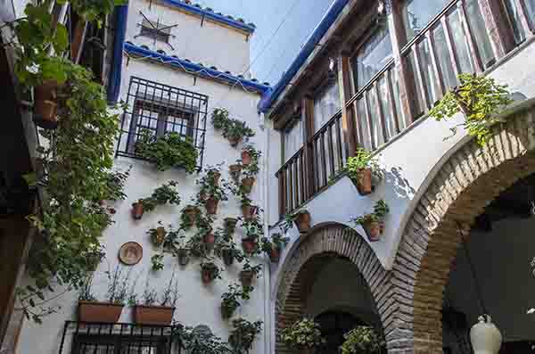 Córdoba 185 - barrio san Basilio - Patios del Alcazar Viejo - calle San Basilio 20.jpg